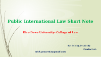 public international law.pptx